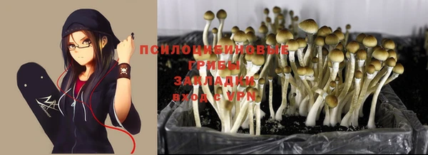 кокаин Алексеевка