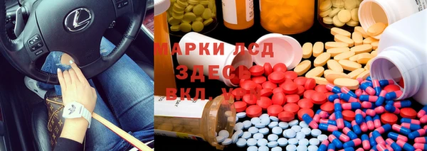гидропоника Абаза