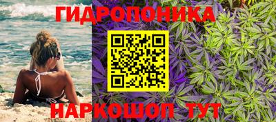 спиды Ипатово