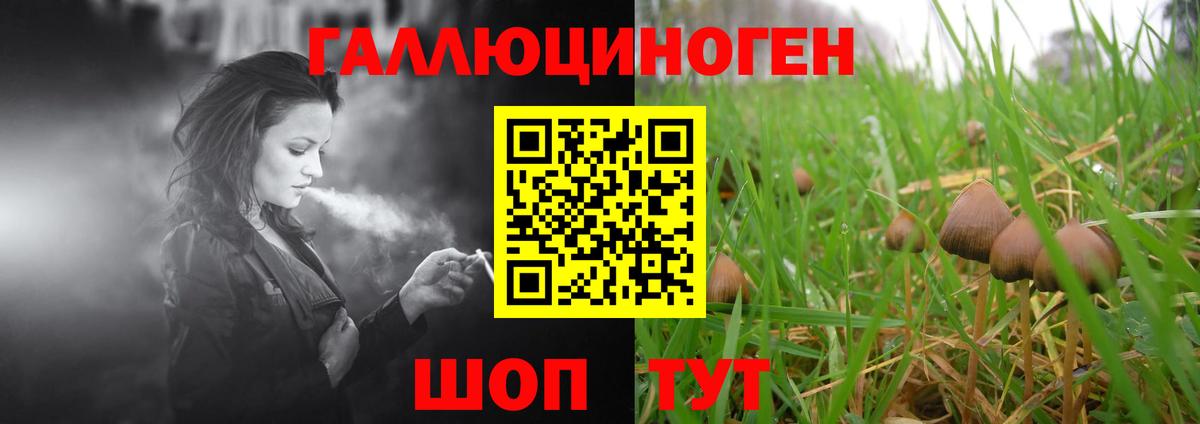 Донской  Галлюциногенные грибы прущие грибы  купить   Вход с VPN 
